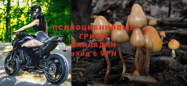 Альфа ПВП Сатка