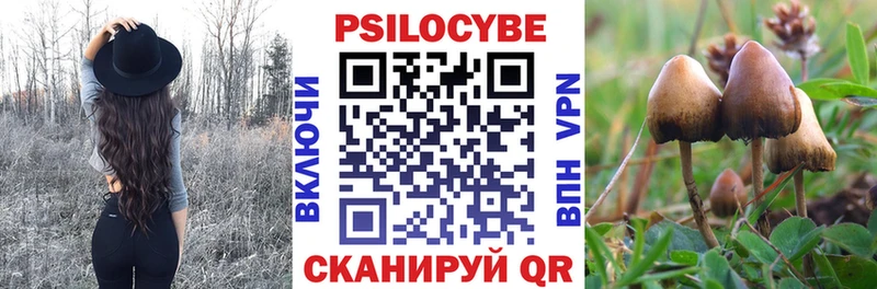 Галлюциногенные грибы Cubensis  Спас-Клепики 